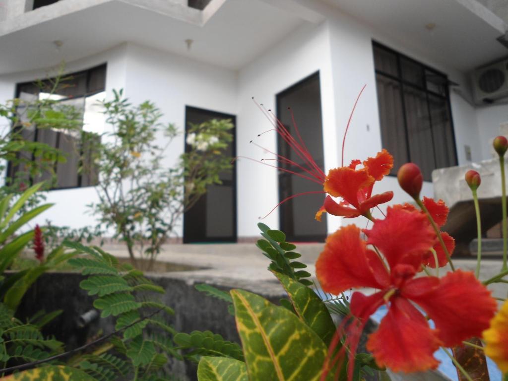 El Mirador Hotel Tarapoto Værelse billede